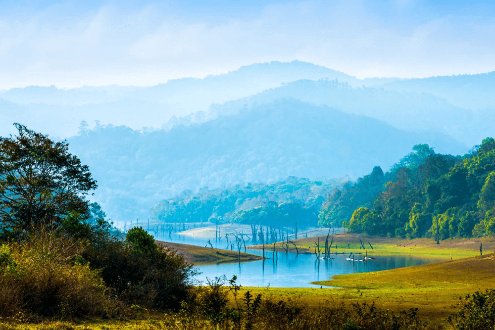 Periyar